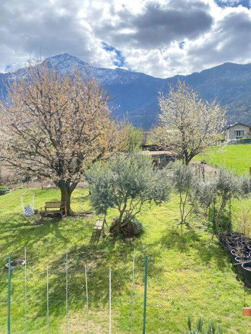 Ferienwohnung Il Giardino Dei Ciliegi Colico Exterior foto
