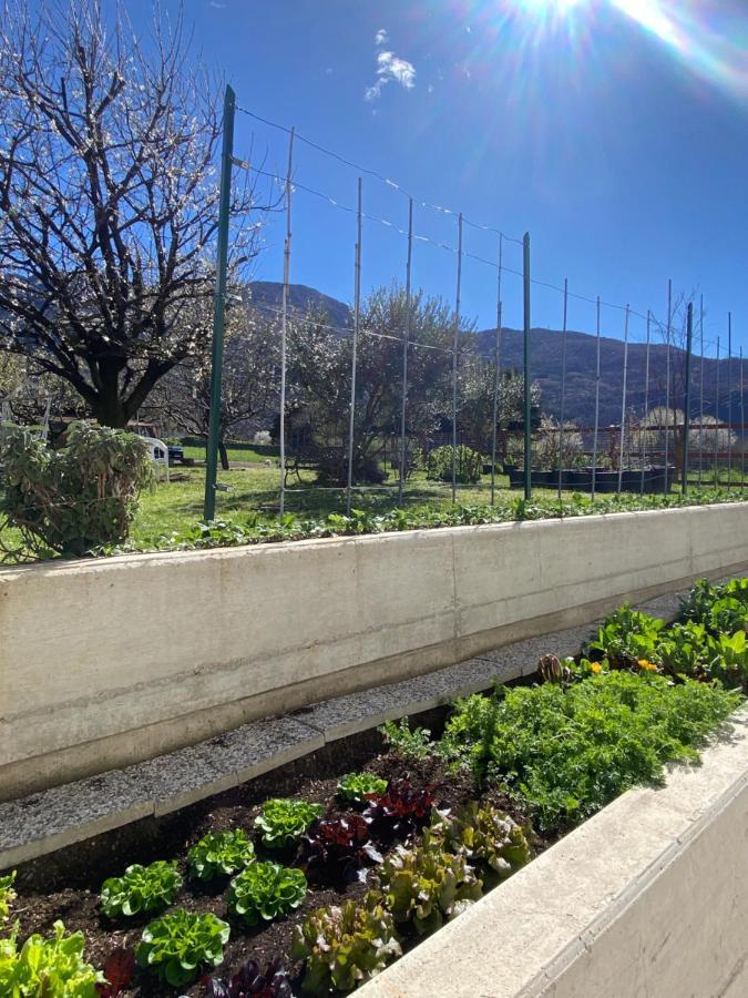 Ferienwohnung Il Giardino Dei Ciliegi Colico Exterior foto