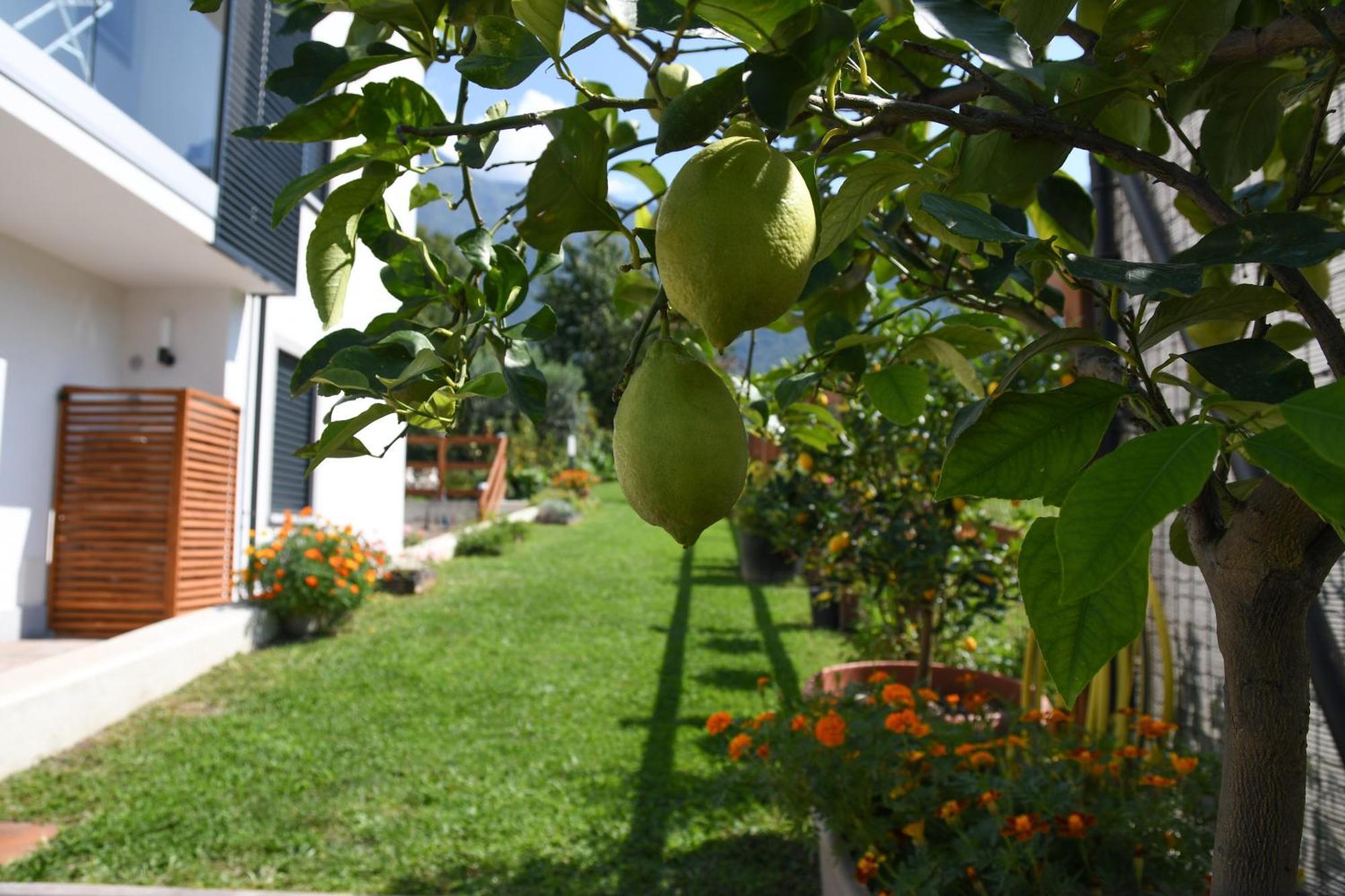 Ferienwohnung Il Giardino Dei Ciliegi Colico Exterior foto