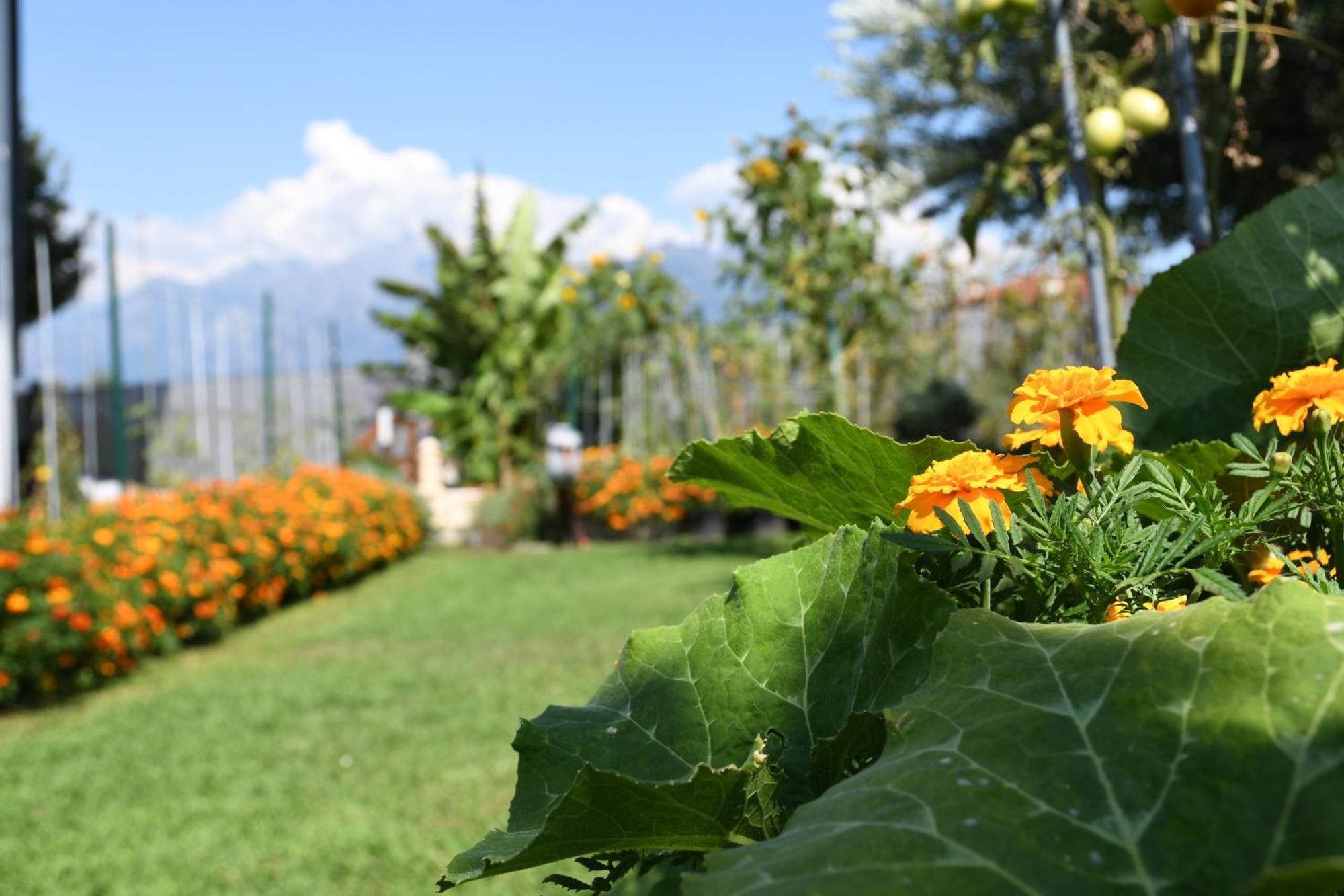 Ferienwohnung Il Giardino Dei Ciliegi Colico Exterior foto