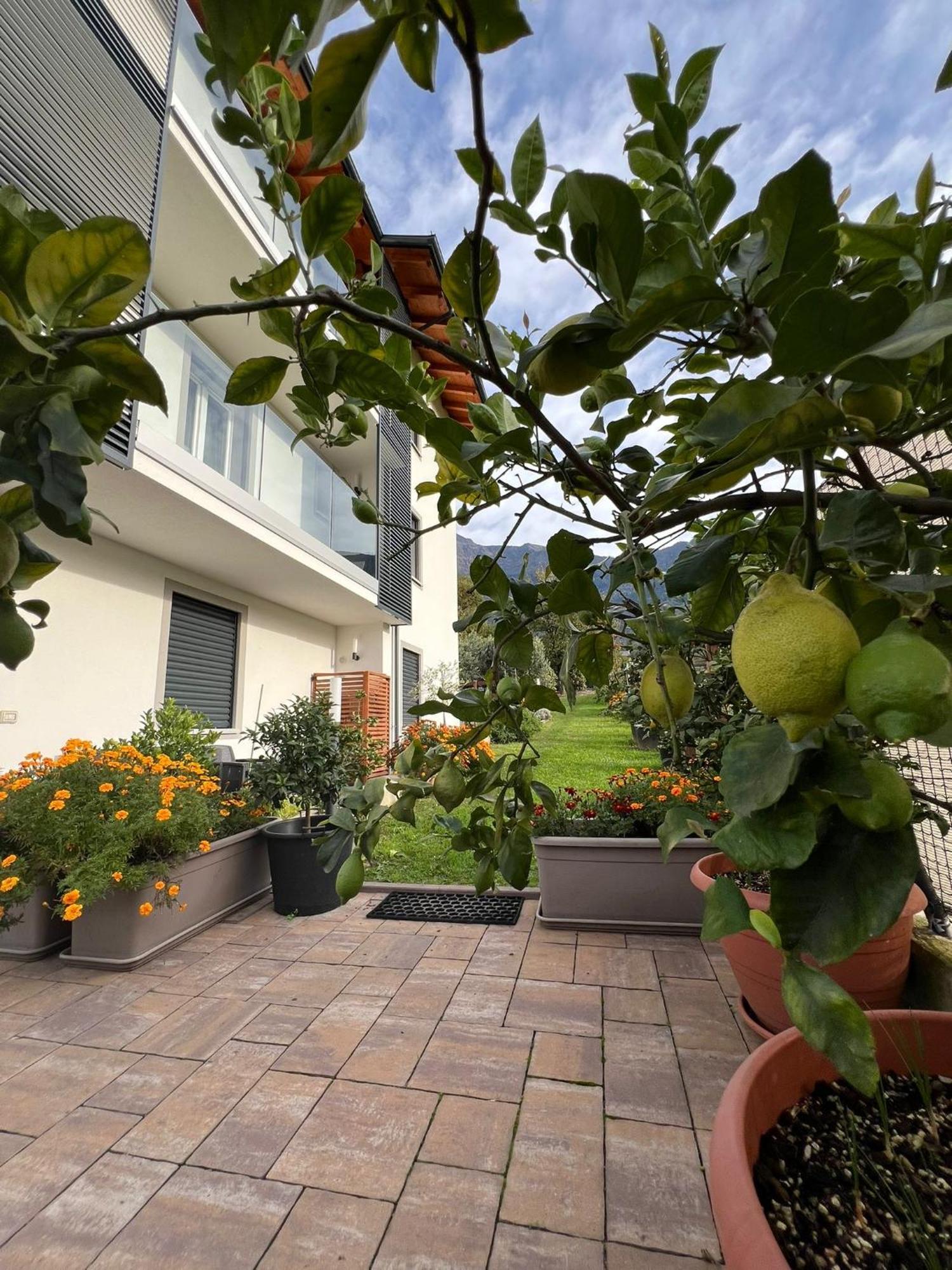 Ferienwohnung Il Giardino Dei Ciliegi Colico Exterior foto