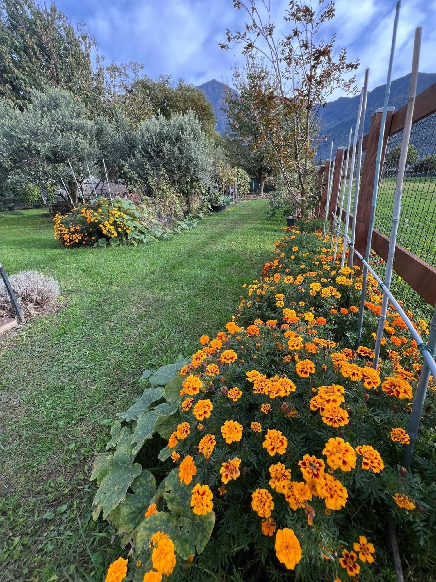 Ferienwohnung Il Giardino Dei Ciliegi Colico Exterior foto
